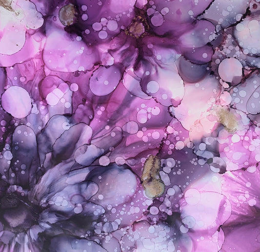 The Magenta Collection