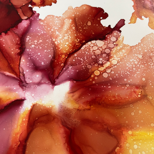 Summer Blush image 1