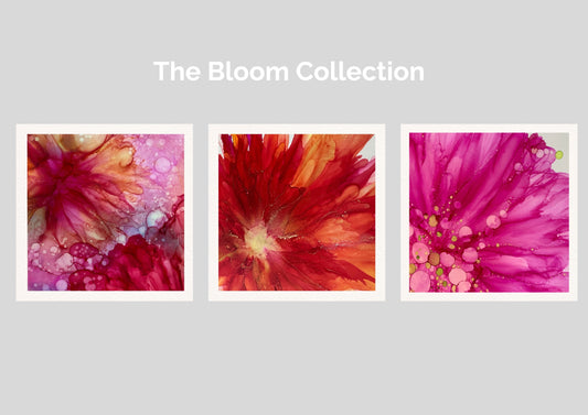 The Bloom Collection