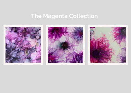 The Magenta Collection