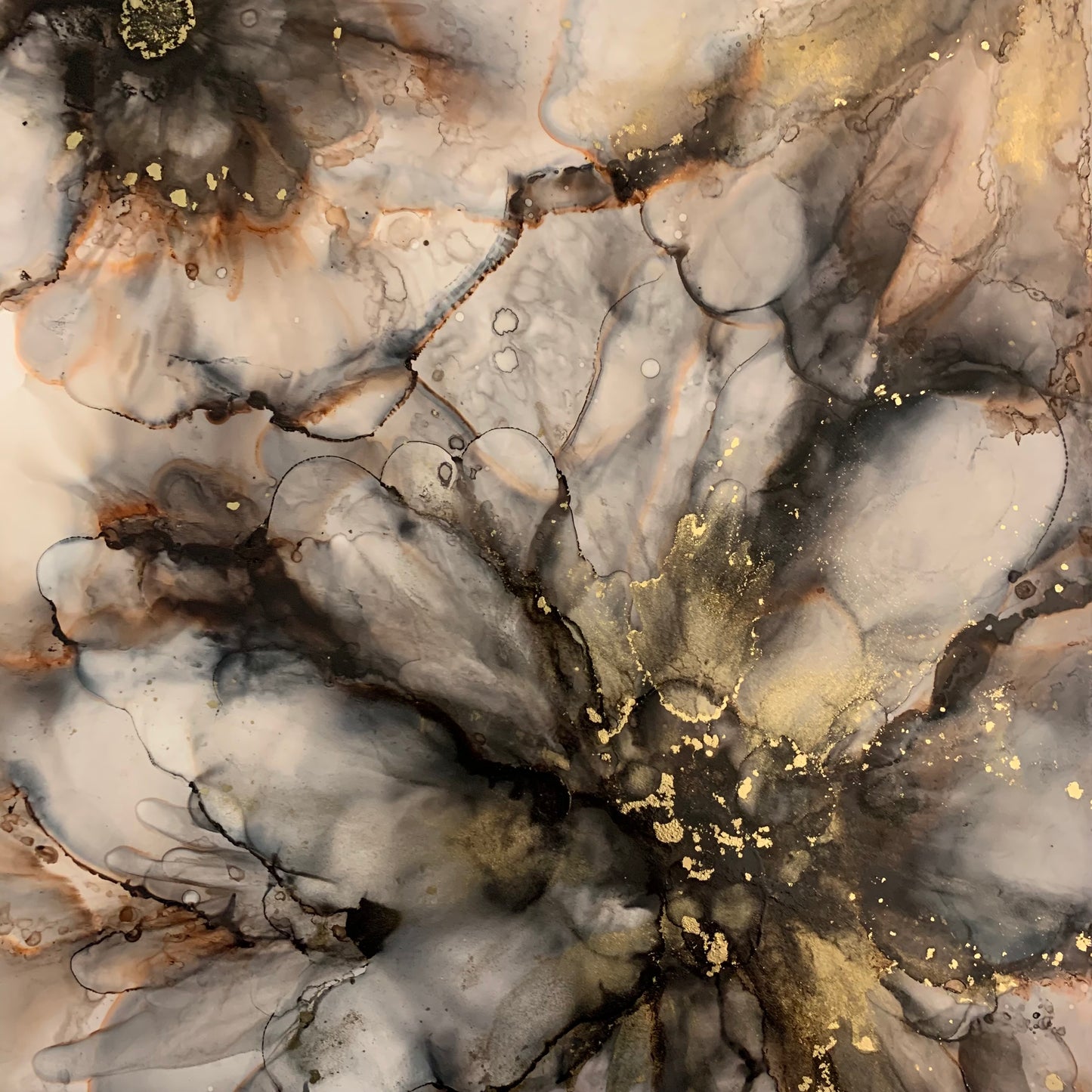 The Neutral Collection