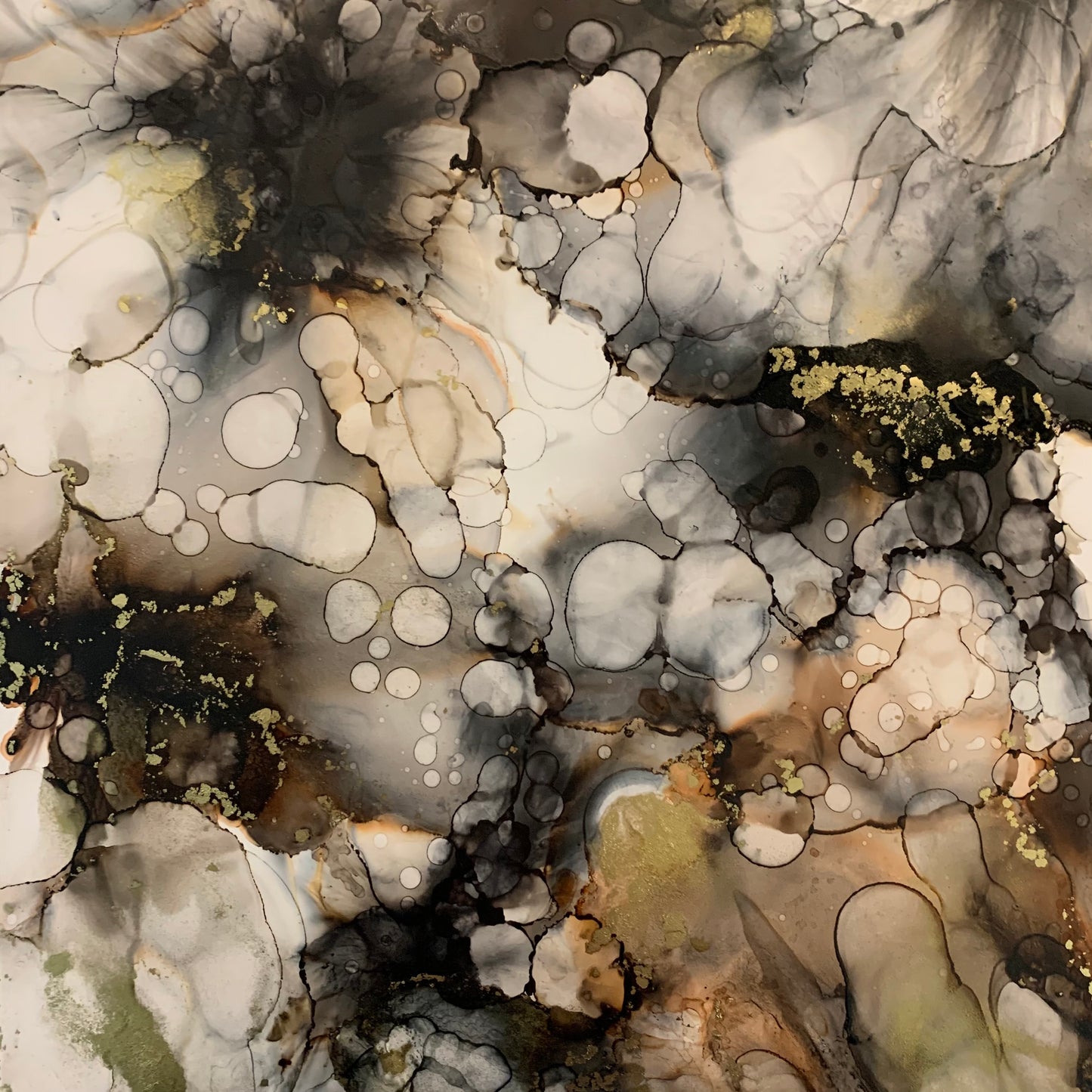 The Neutral Collection