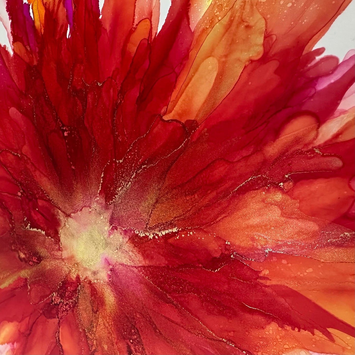 The Bloom Collection