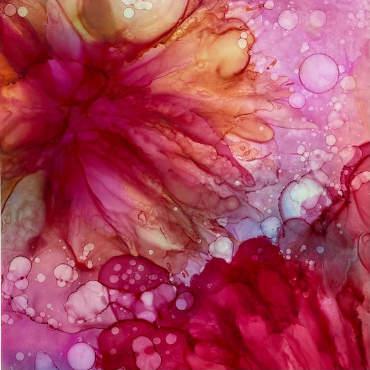 The Bloom Collection